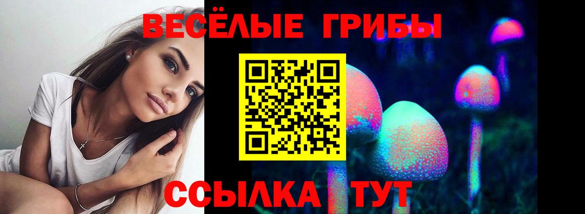 Псилоцибиновые грибы MAGIC MUSHROOMS Ставрополь